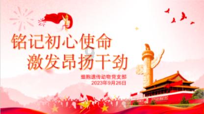 堡垒之夜